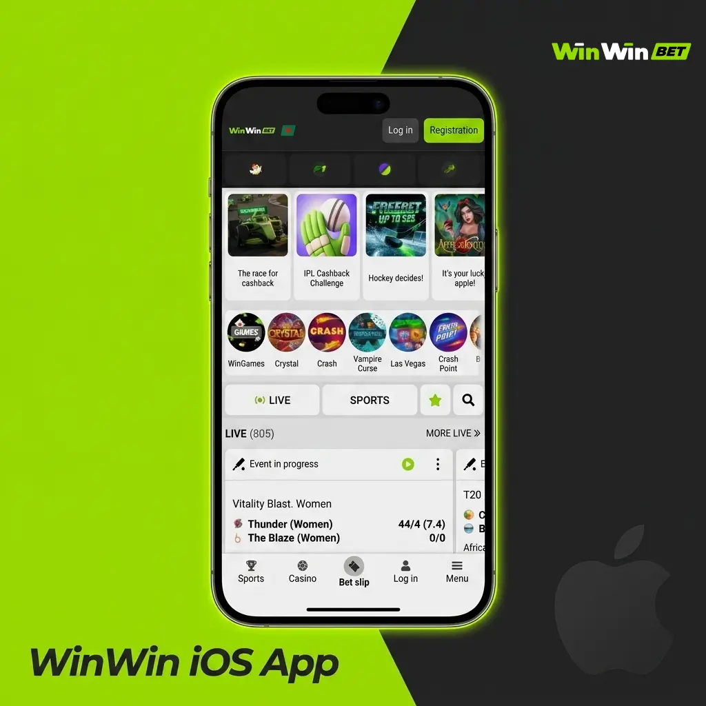 WinWin iOS app installation guide showing PWA setup steps for iPhone and iPad running iOS 12.0 or later